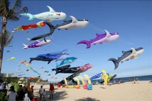 Những Lễ Hội Ở Mũi Né Thu Hút Khách Du Lịch