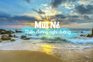 Thuê Xe Đi Mũi Né Giá Rẻ – Xe 4-7-16-29-45 Đời Mới, Giá Trọn Gói, Phục Vụ Tận Tâm.